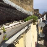 Guttering